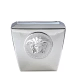 MEDUSA PLATIN,VASE
