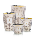 SCENTED CANDLE FOLIA CALANQUE