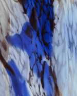 SCENTED CANDLE HOLANA BLUE WORLD - Image 2