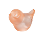 PIOU-PIOU HEAD UP CORAL