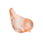 PIOU-PIOU HEAD DOWN CORAL